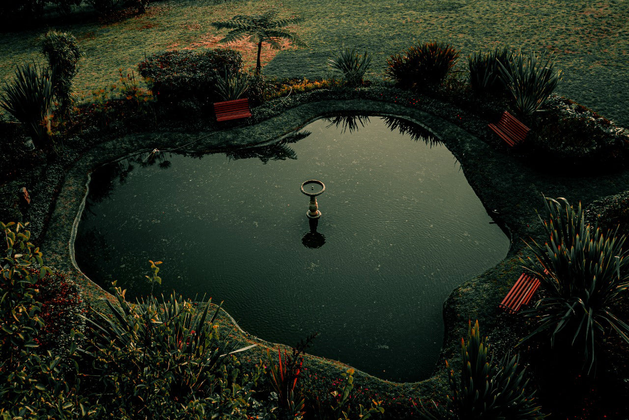 Lago Finca Palonegro