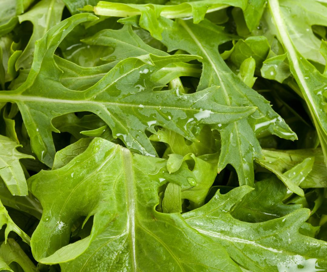 VERDURAS ASIÁTICAS | ¿Las has probado?