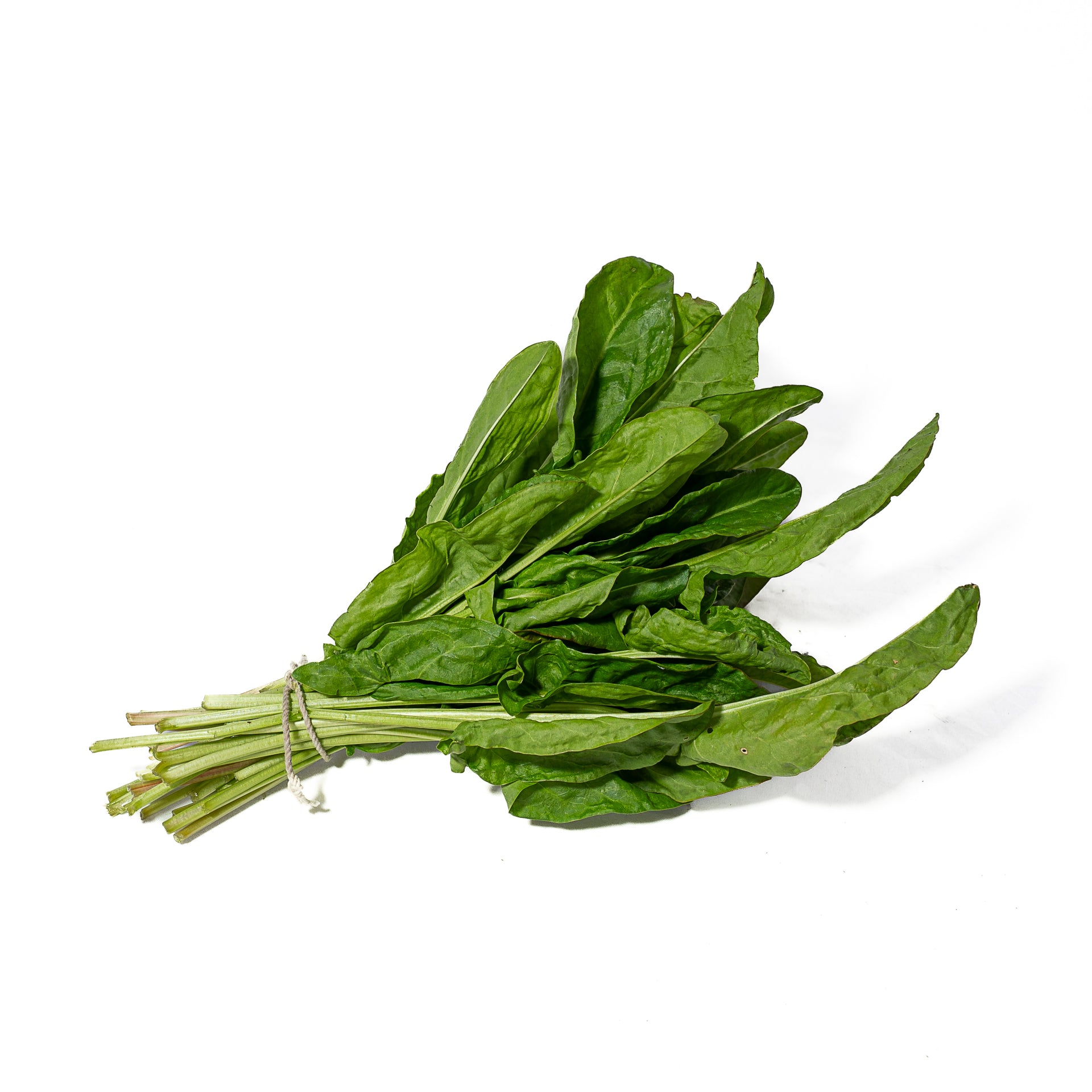 Acedera Orgánica