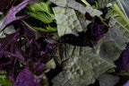 Asiático Mix