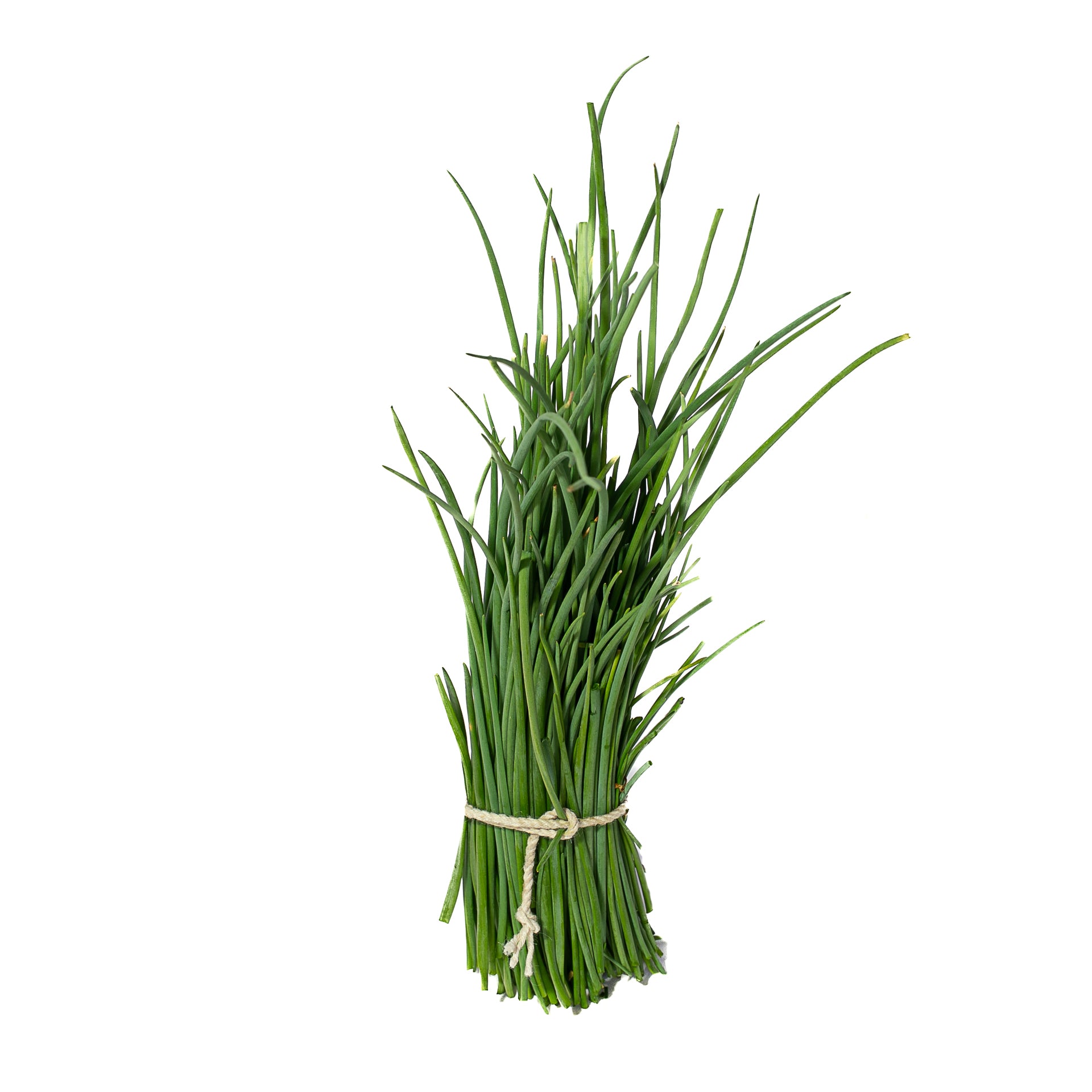 Cebollin Organico