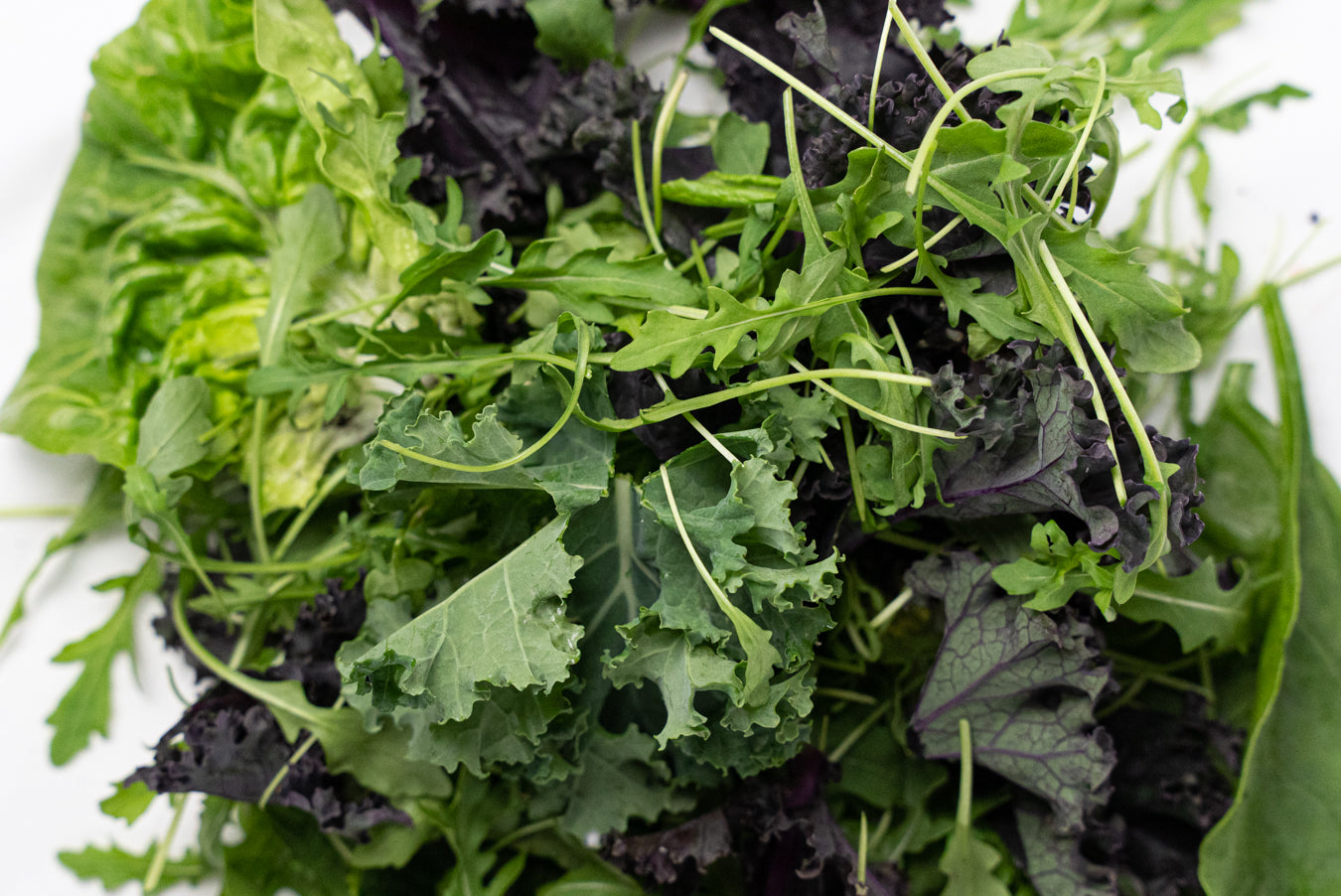 Corymbo Mix Organico