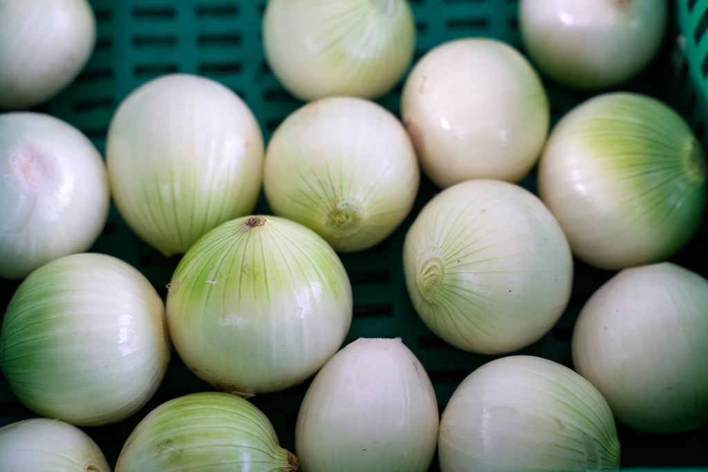 Cebolla Cabezona Blanca