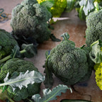 Brócoli