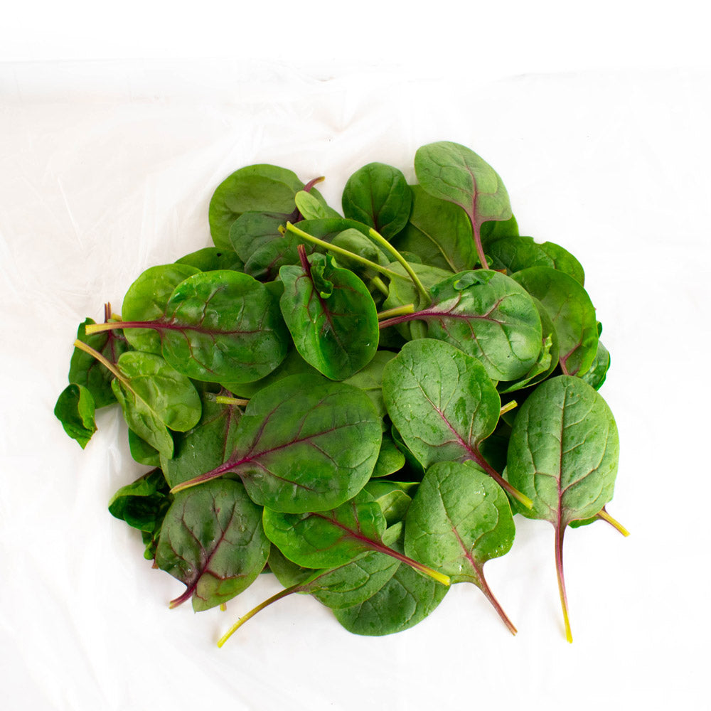 Espinaca Baby Organica