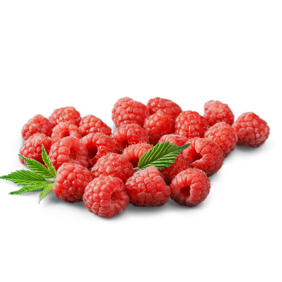 Frambuesas Organicas
