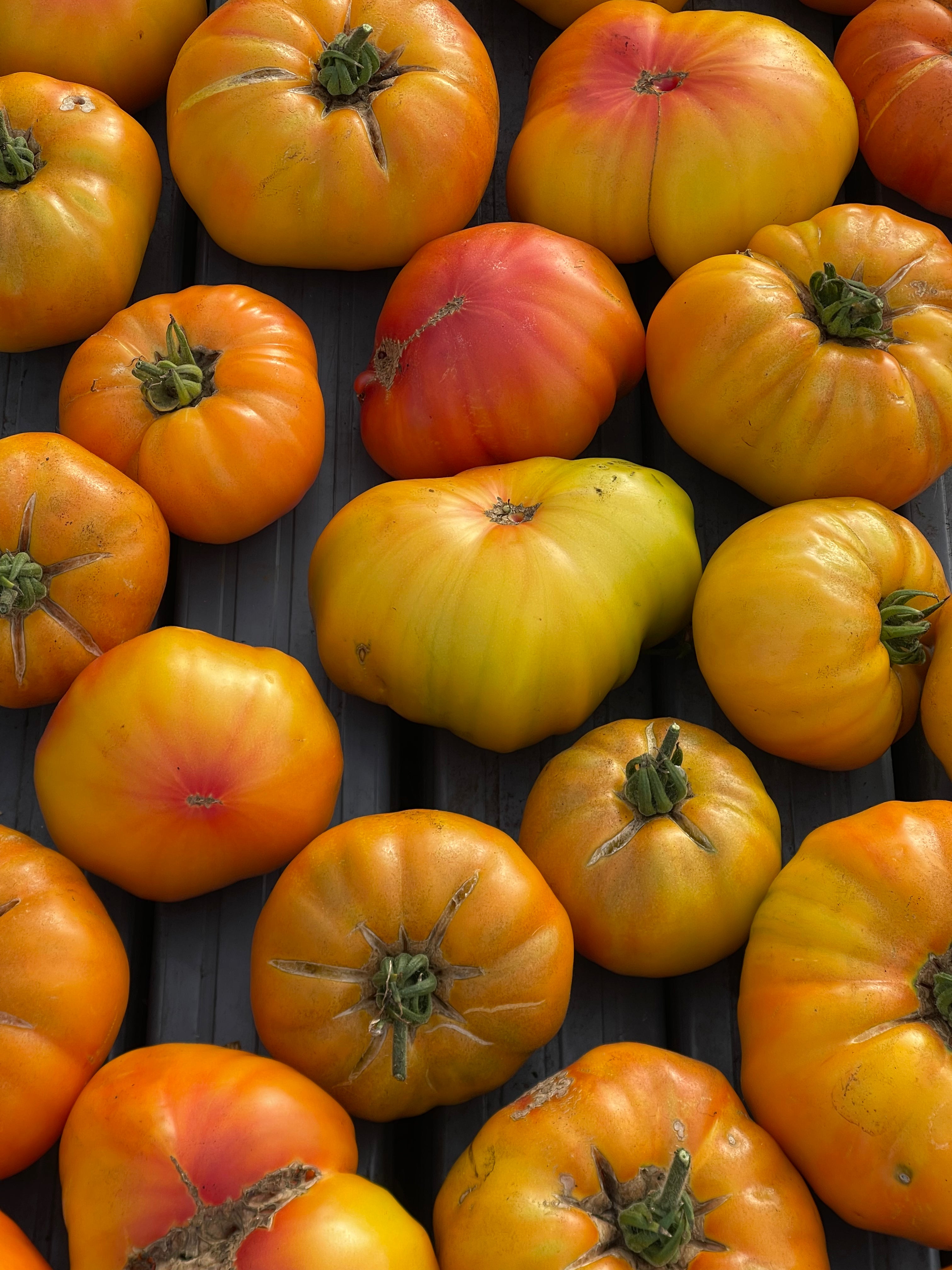 Tomate Artesanal Heirloom