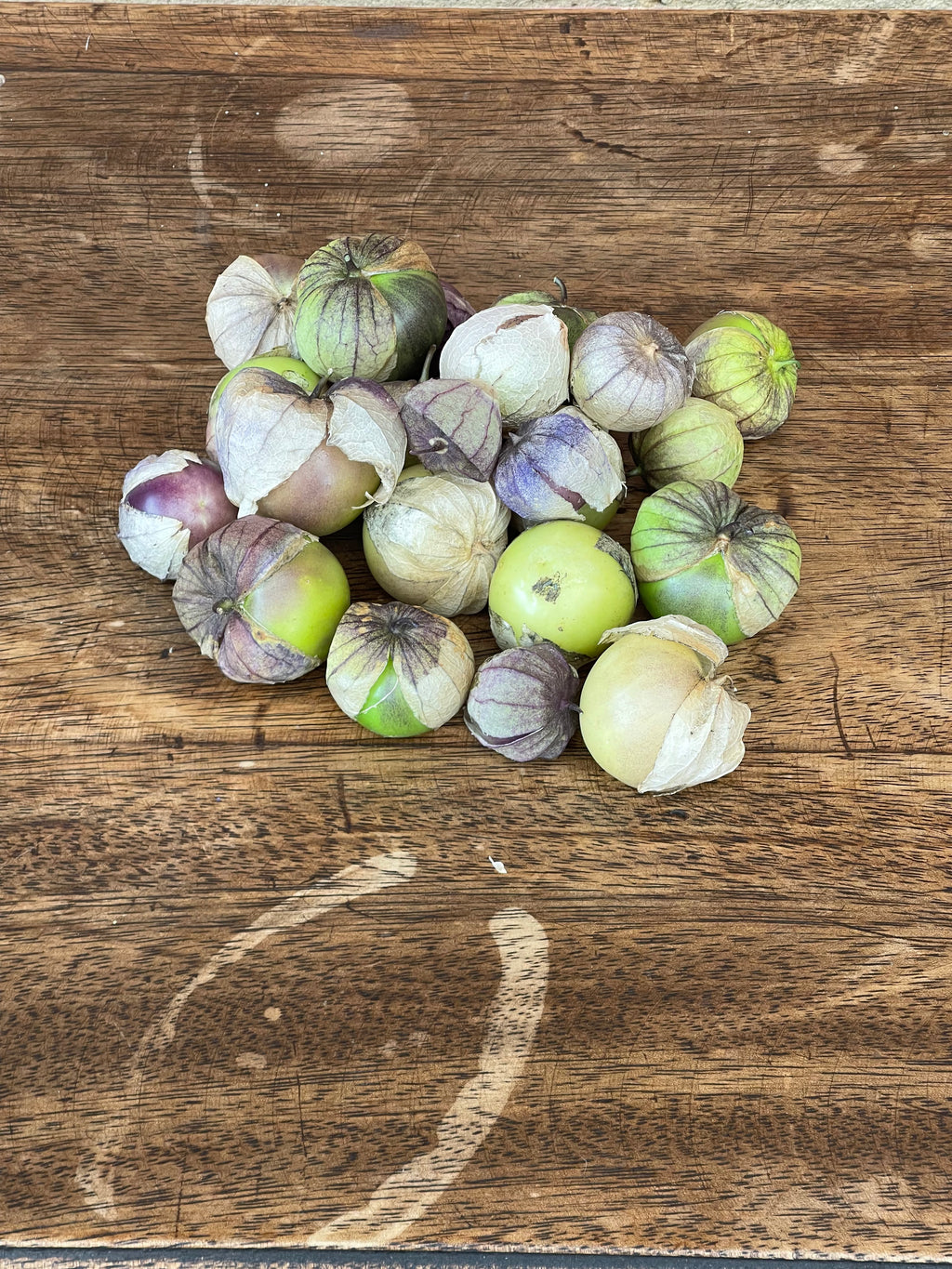 Tomatillo Silvestre Morado