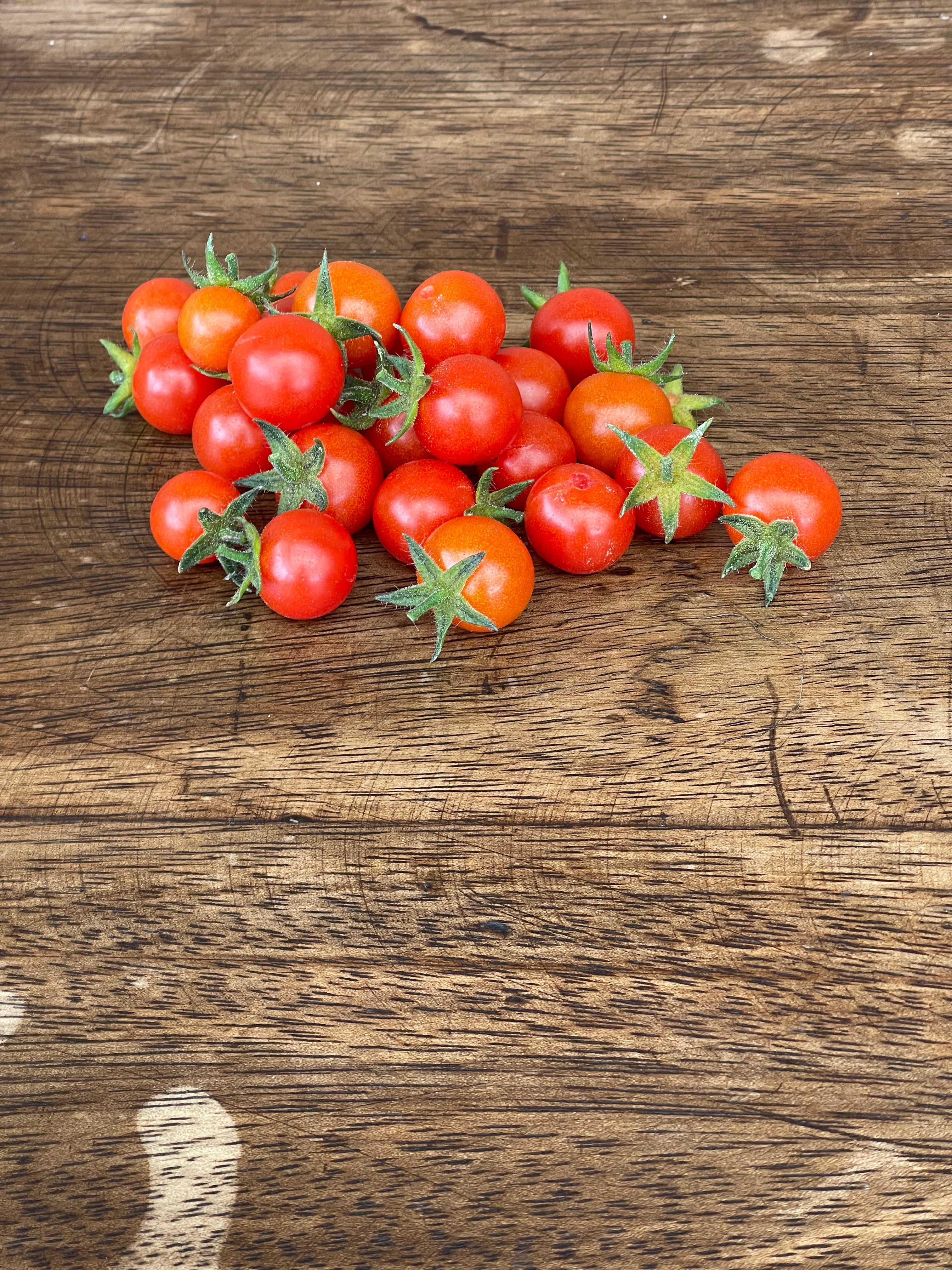 Tomate Cherry Silvestre