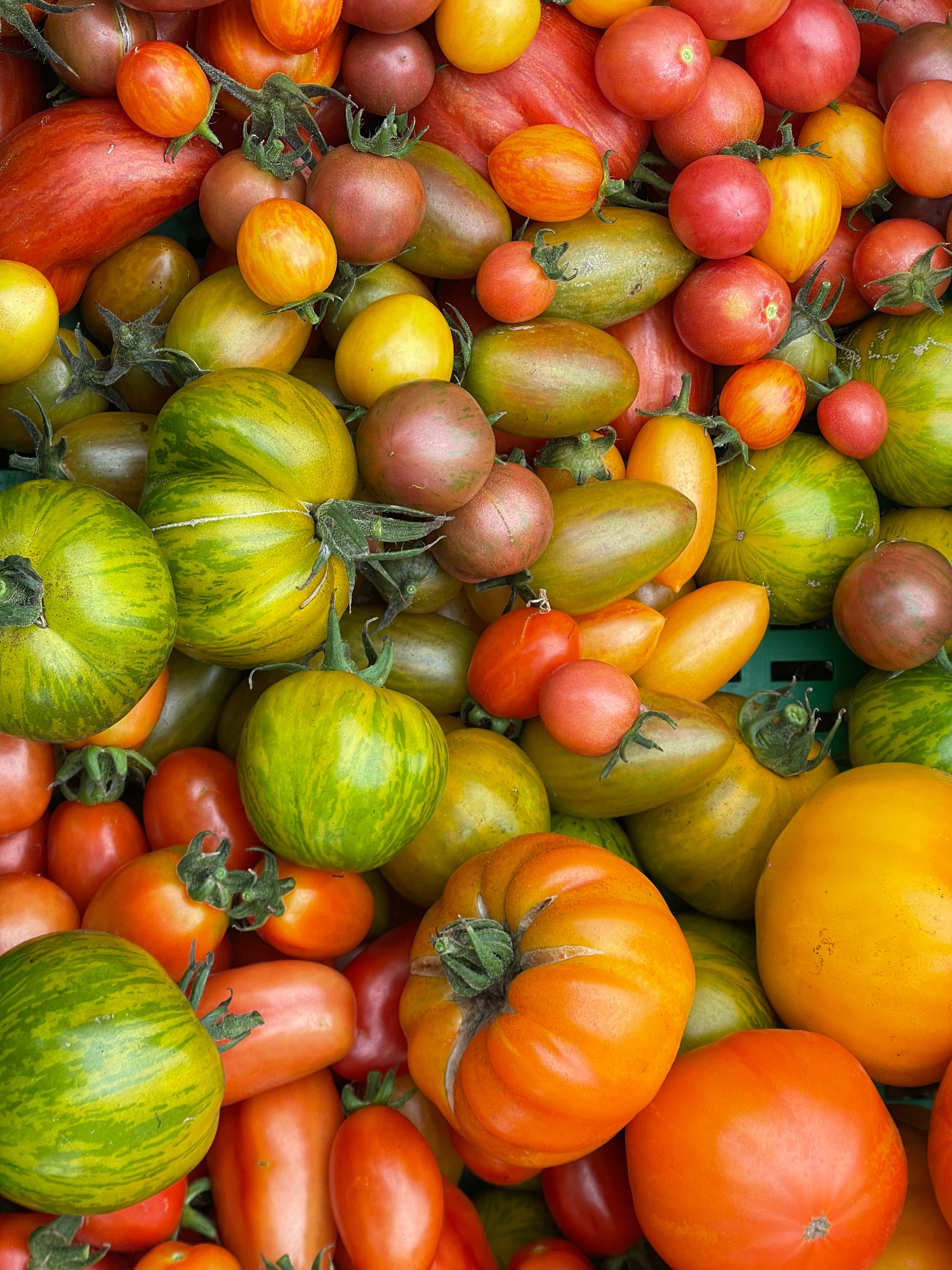 Mix Tomates Artesanos