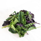 Kale Baby Organico