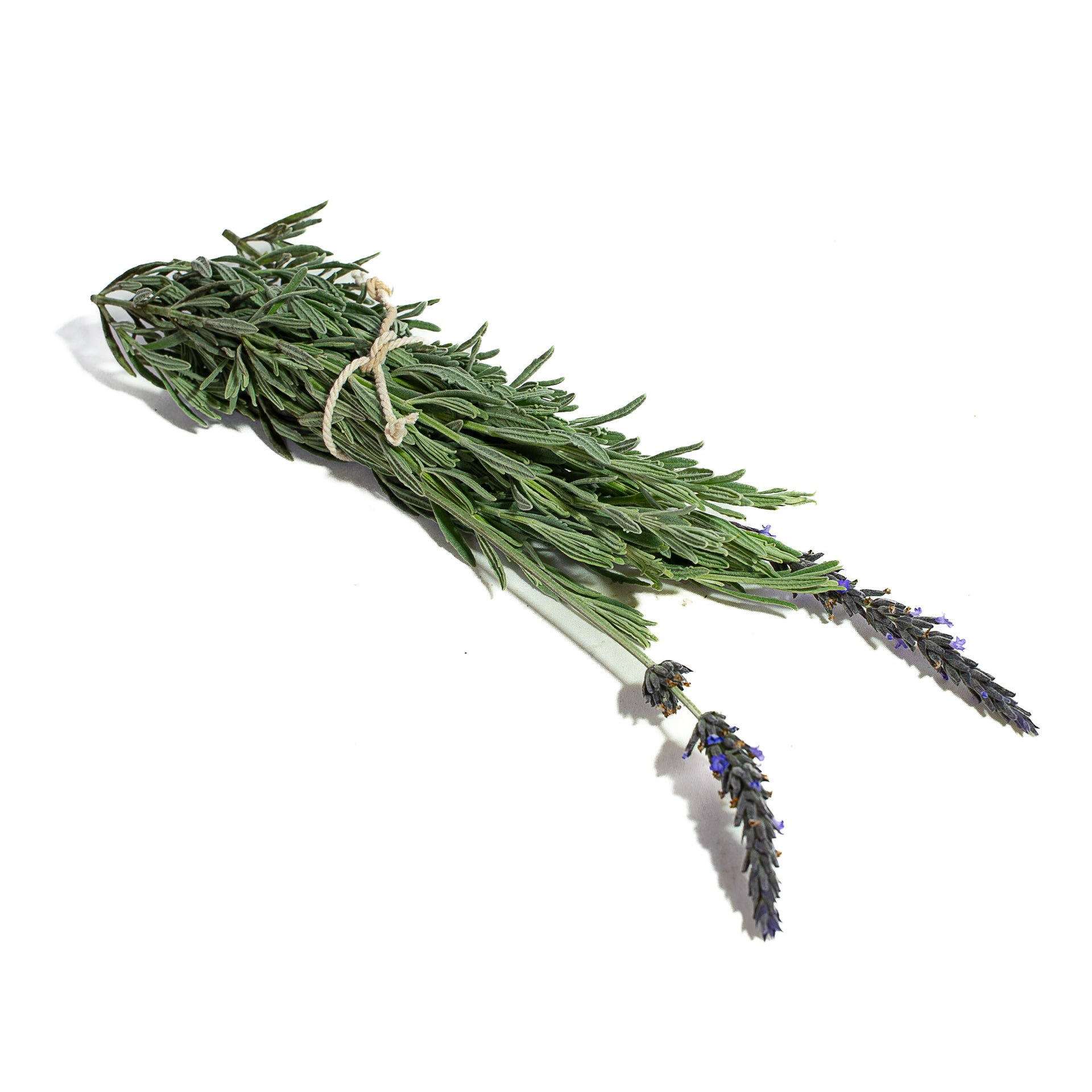 Lavanda Organica