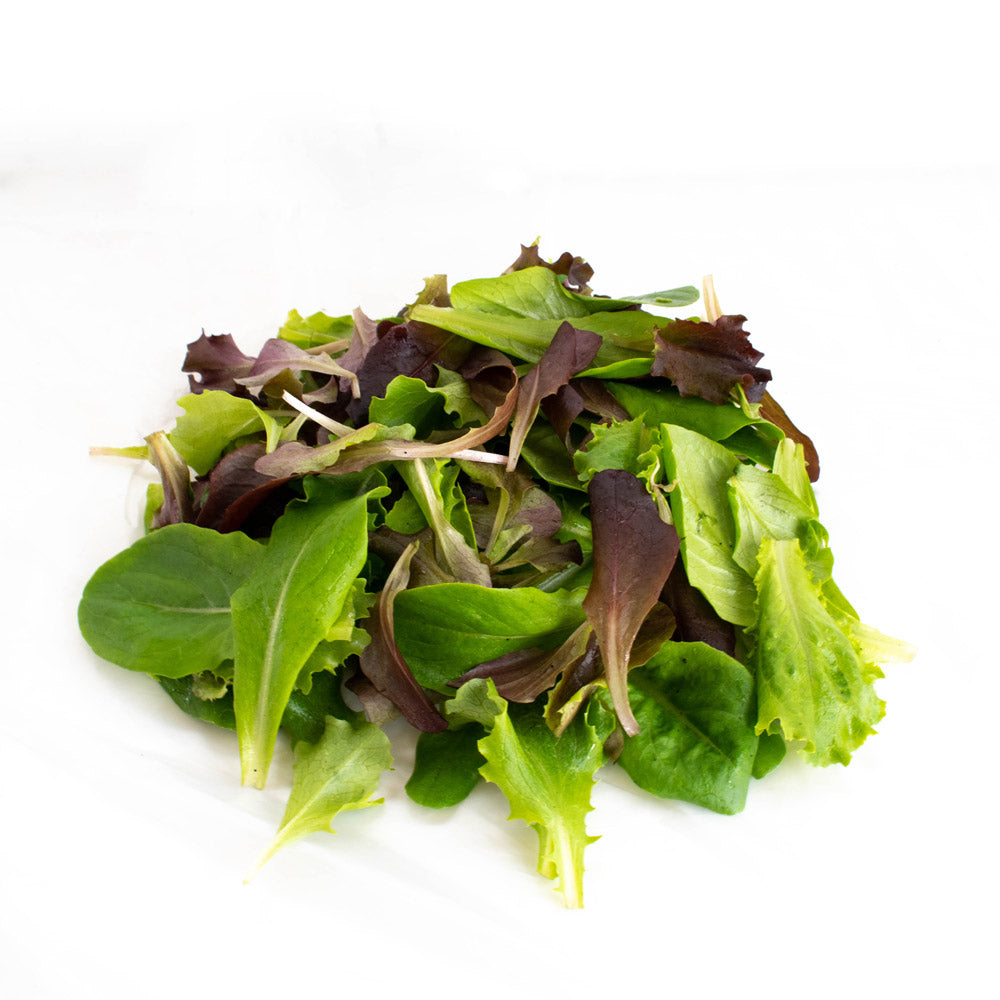 Lechuga Baby Organica