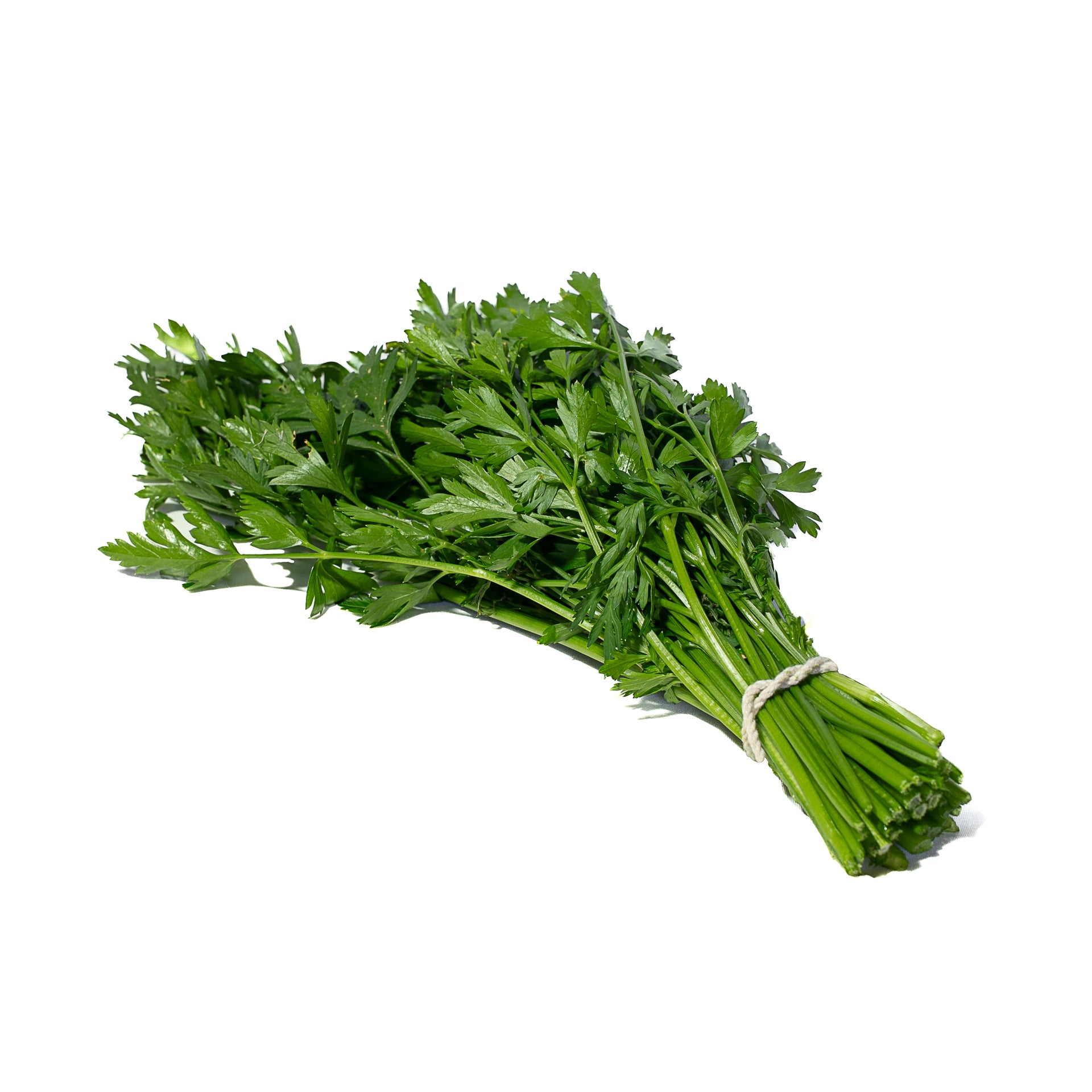 Perejil Liso Organico