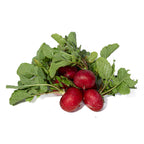 Rabano Rojo Organico