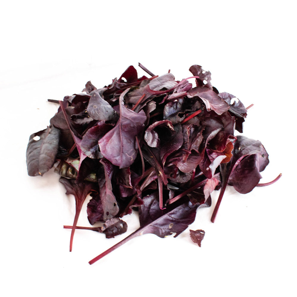 Remolacha Baby Organica