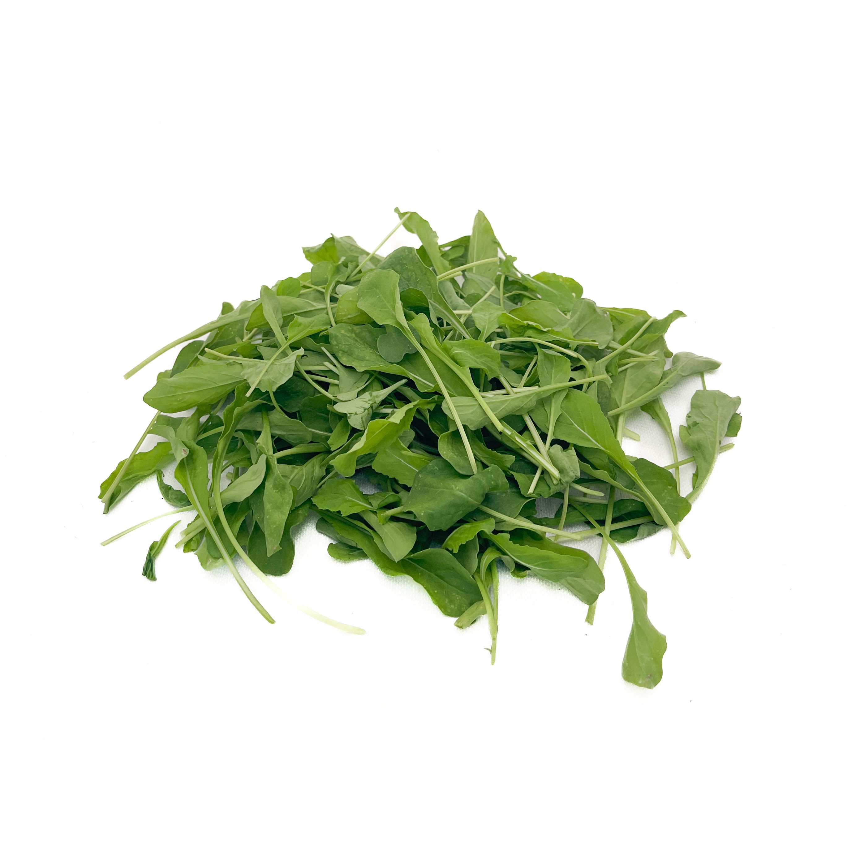 Rugula Roquette Baby Organica