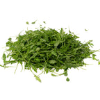 Rugula Selvatica Baby Organica