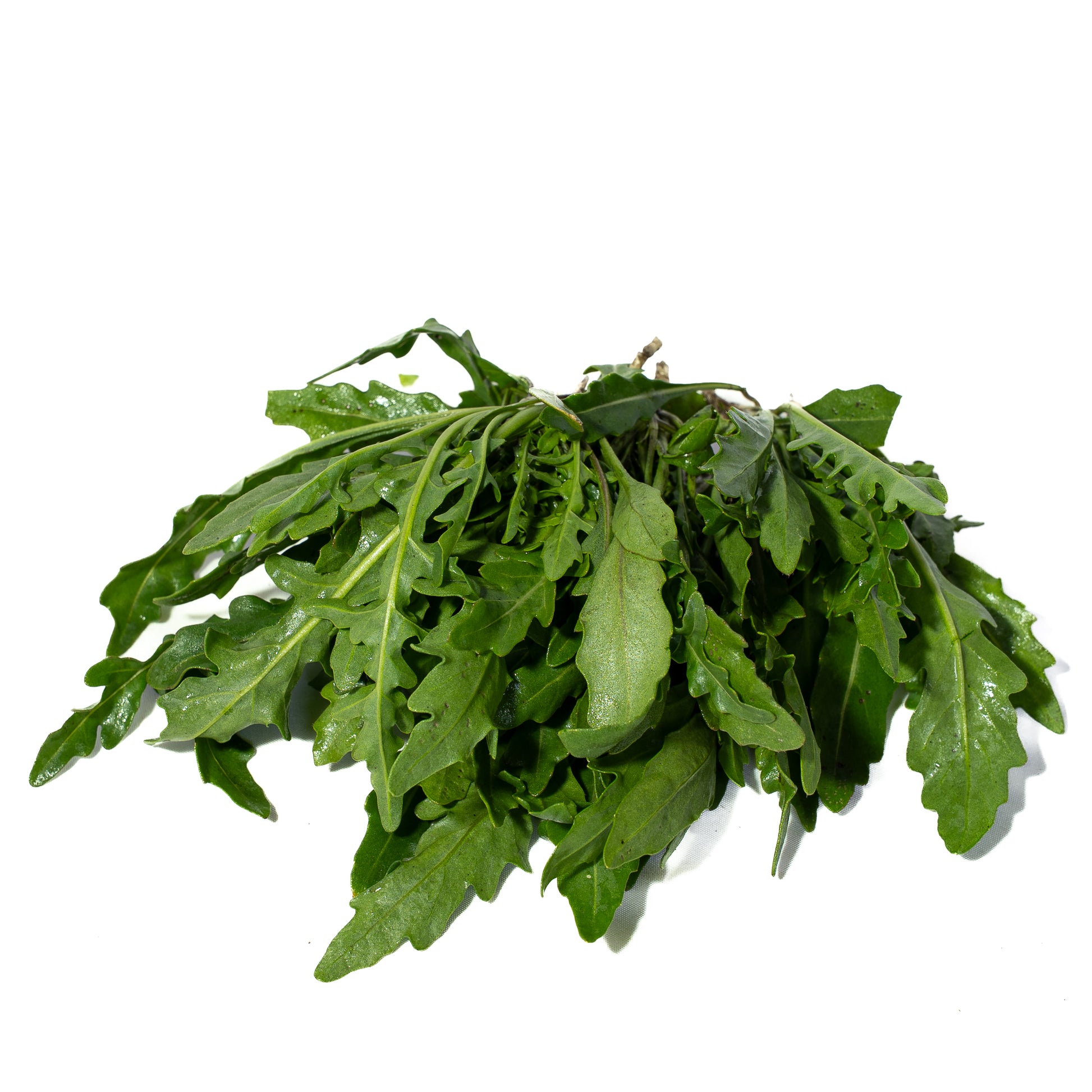Rugula Selvatica Organica