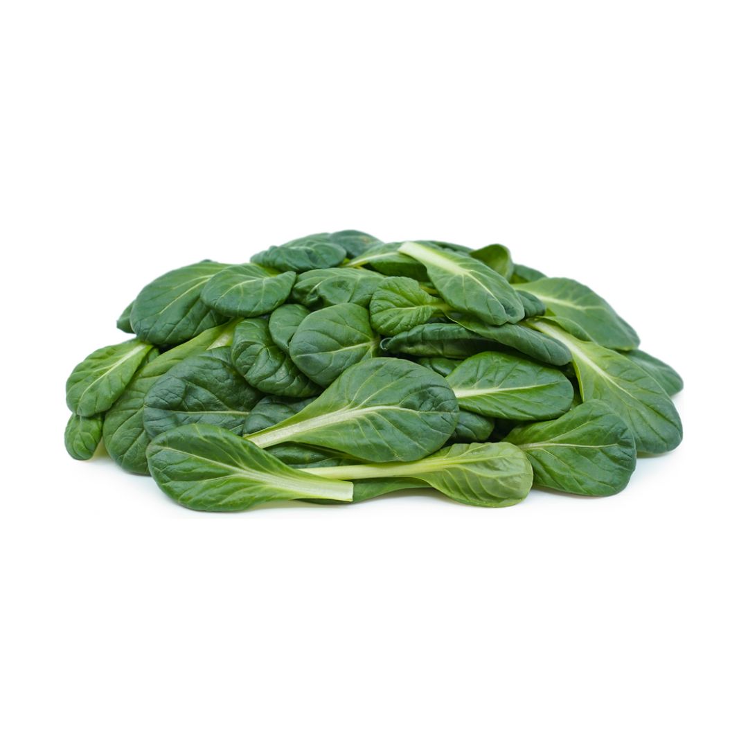 Tatsoi Baby Organico