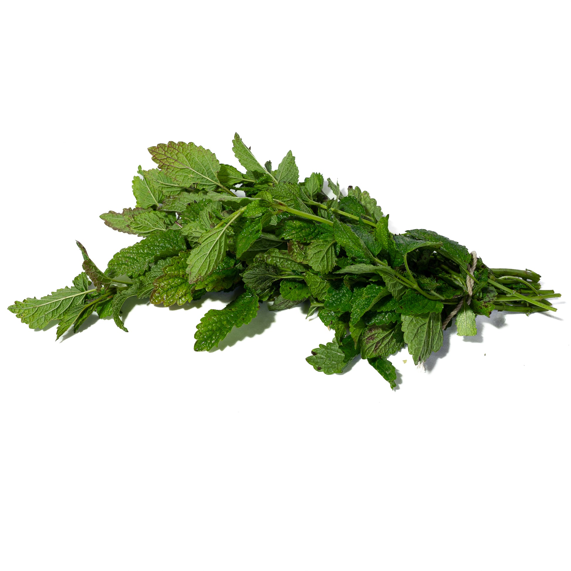 Toronjil Organico