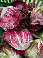 Radicchio