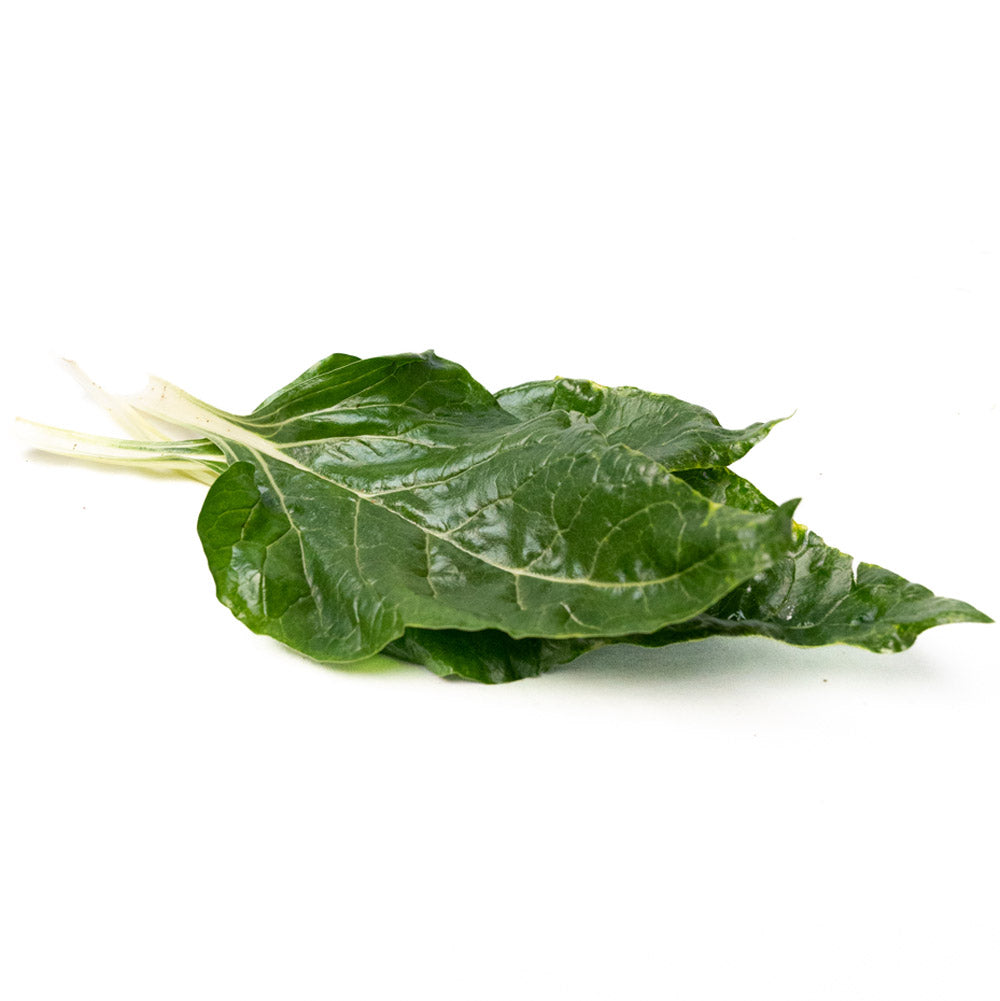 Acelga Orgánica