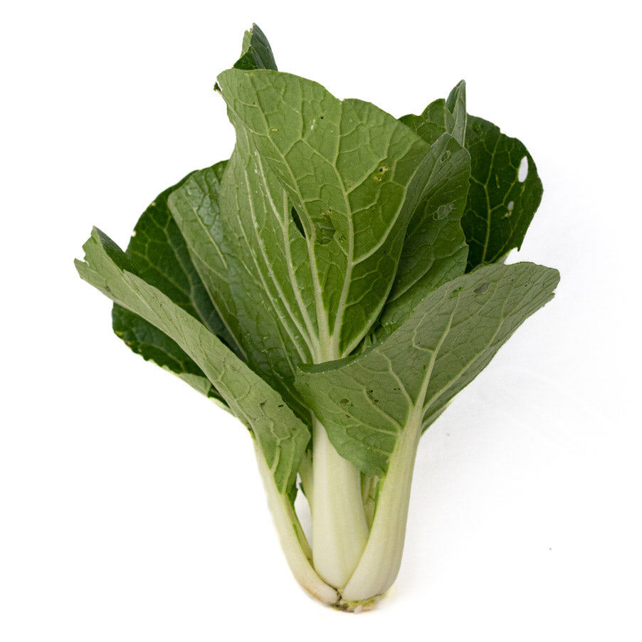 Bok Choi Organico