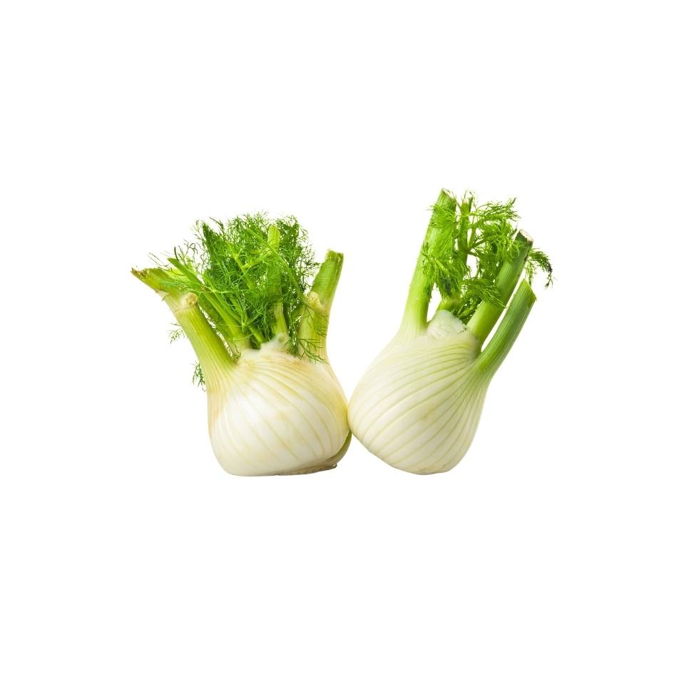 Bulbo Hinojo Organico
