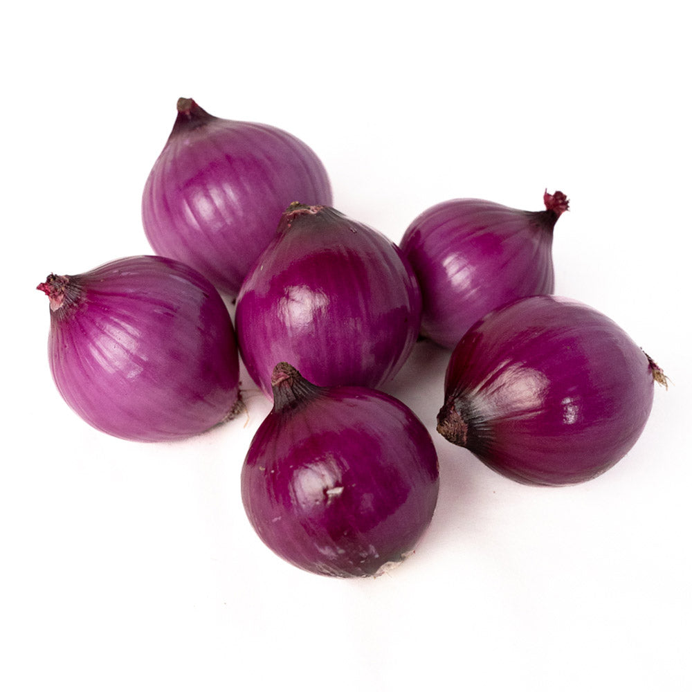 Cebolla Cabezona Roja Organica