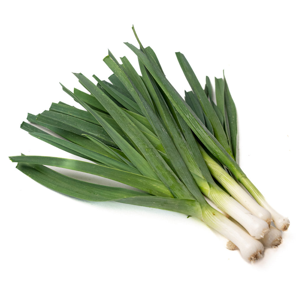 Cebolla Puerro Organica