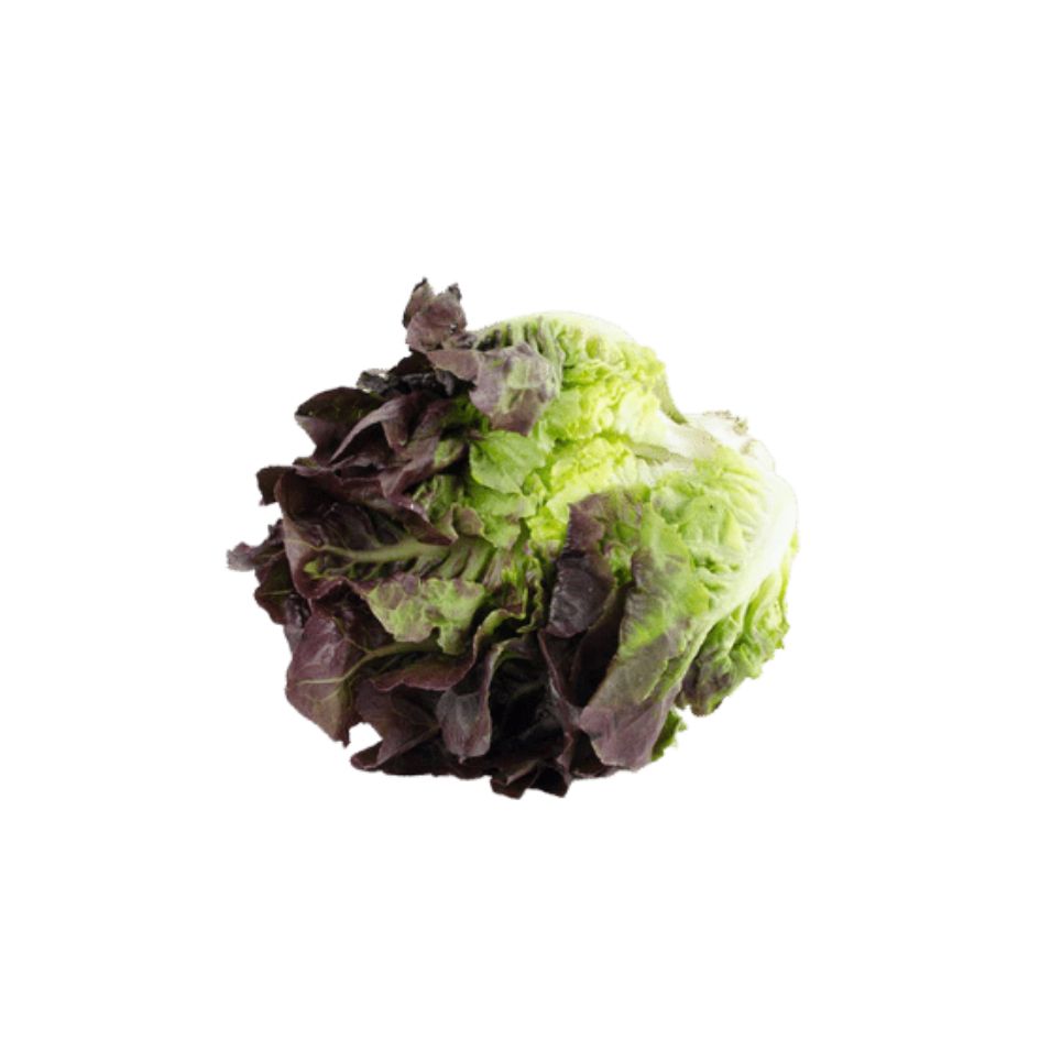 Cogollo Morado Organico