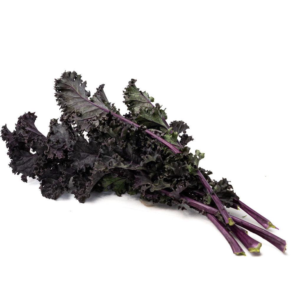 Kale Morado Organico