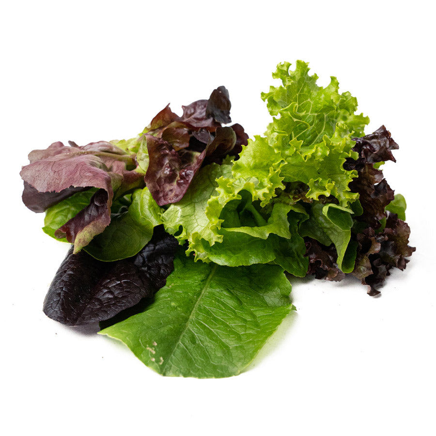 Lechugas Mix Organico