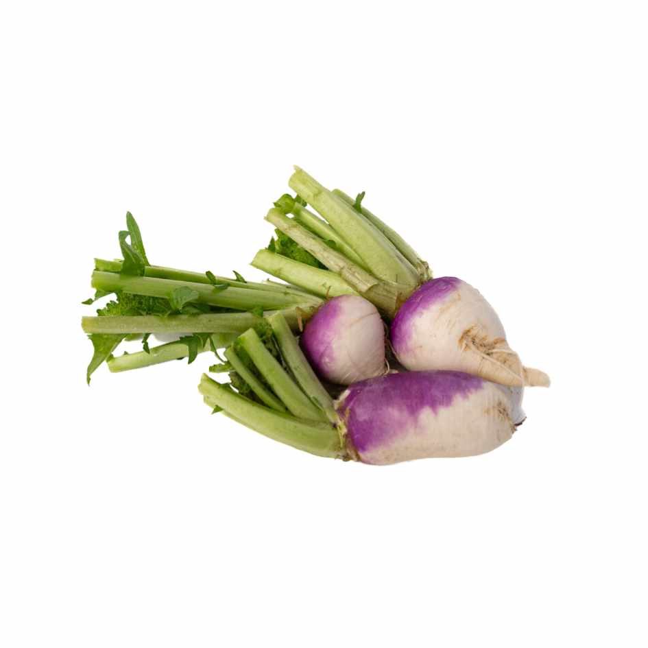 Nabo Organico