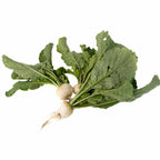 Rabano Blanco Organico