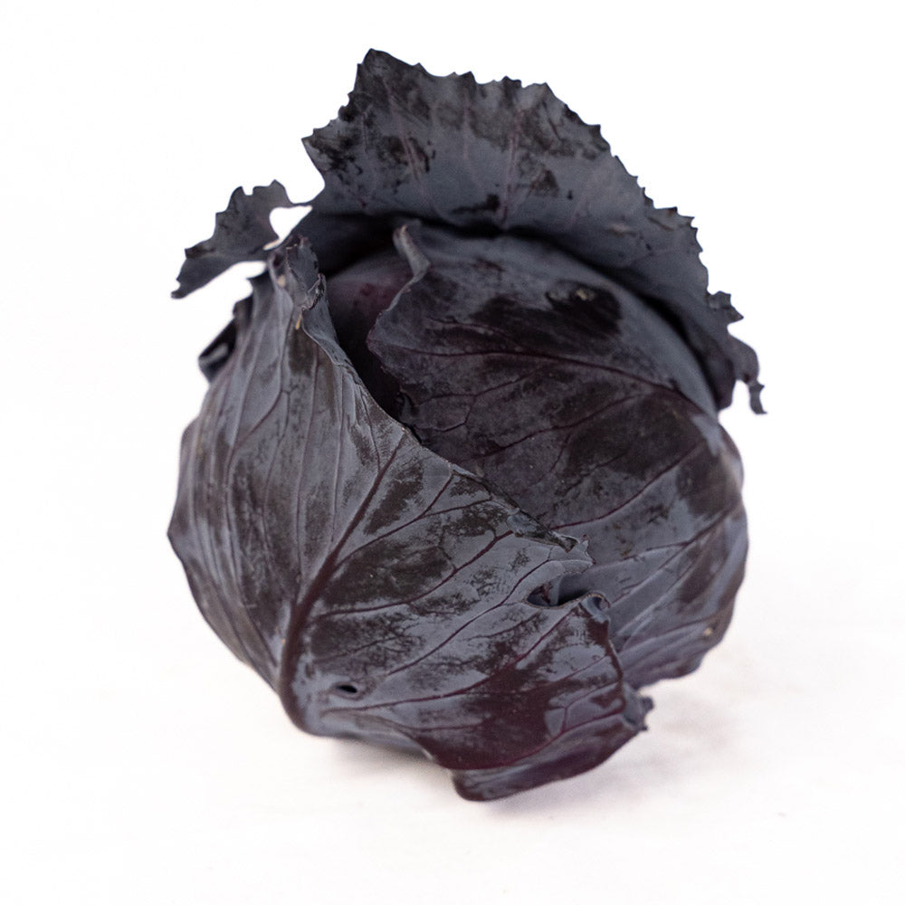 Repollo Morado Orgánico