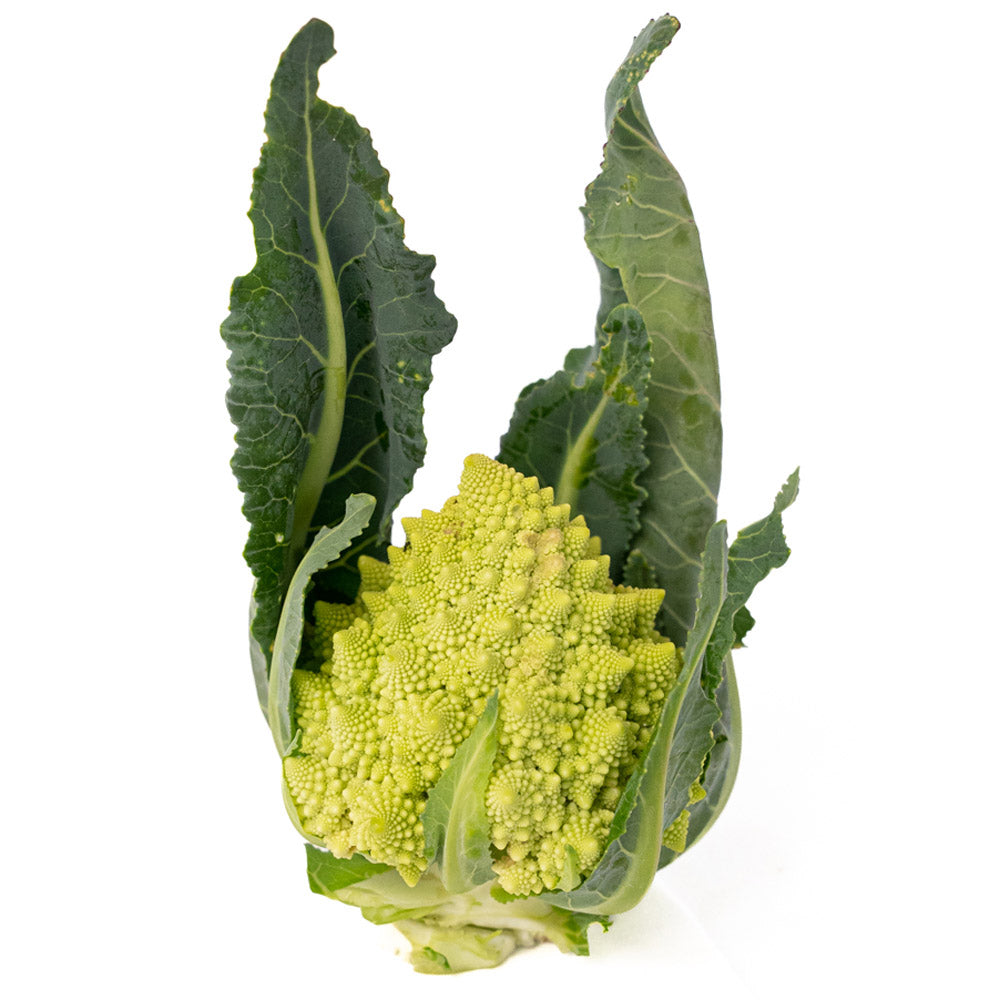 Romanesco Organico
