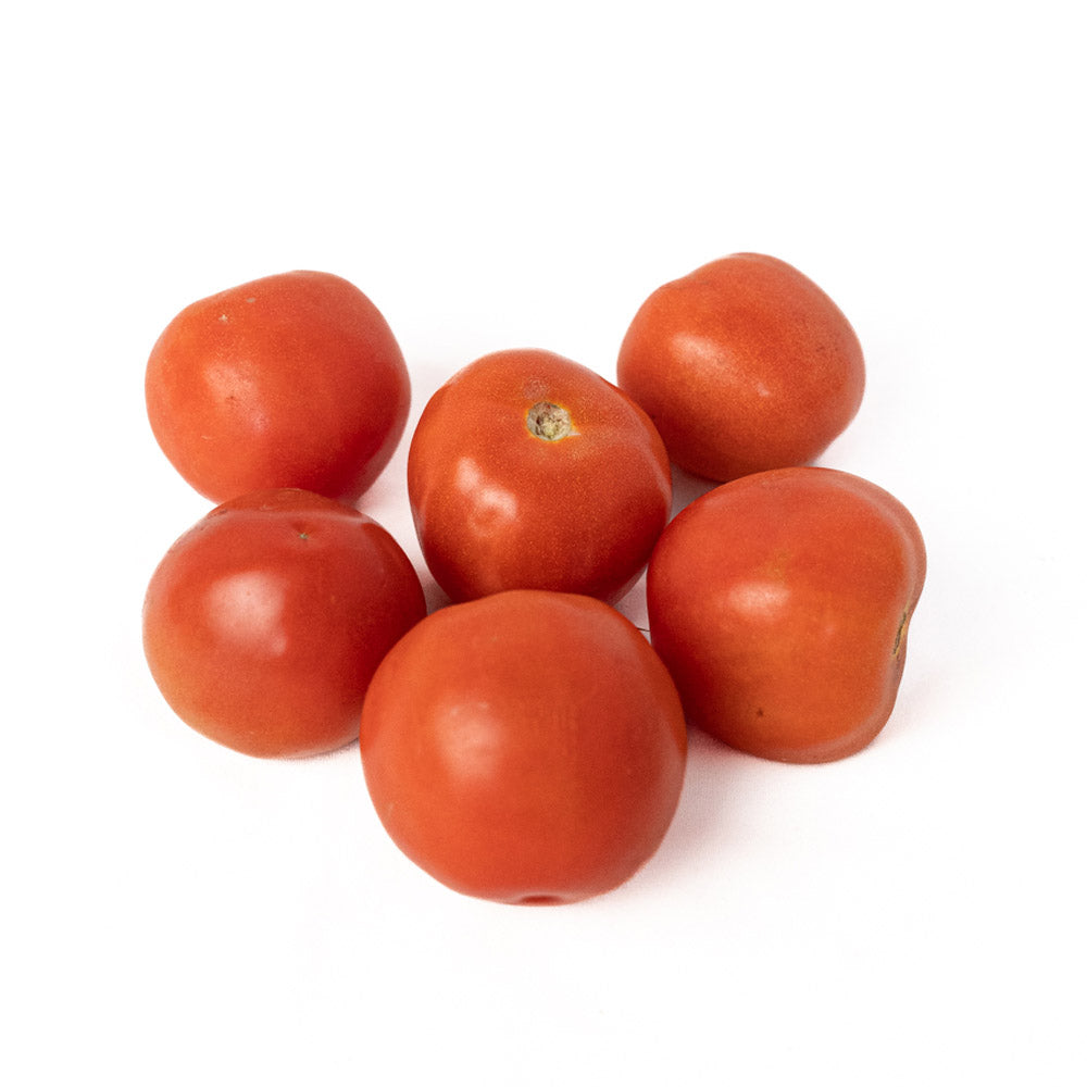 Tomate Chonto Organico