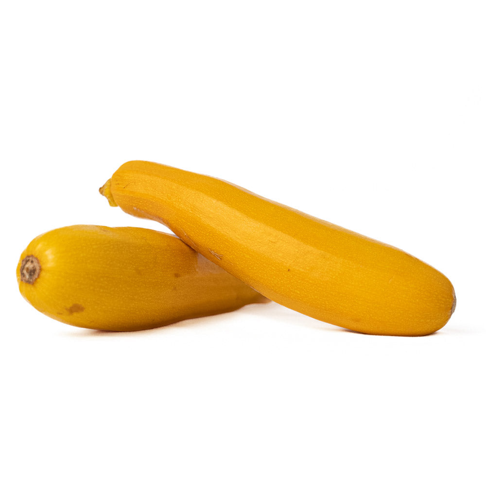 Zucchini Amarillo Organico